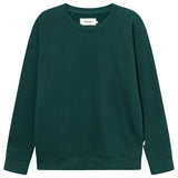 DEDICATED Malmoe Base sweatshirt dark green men